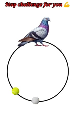 how to stop challange is impossible 00.001% 🤯