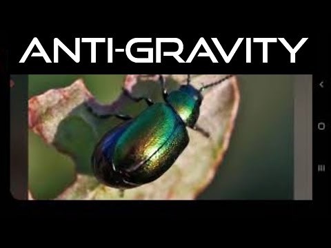 An Anti Gravity Platform of Viktor Stepanovich Grebennikov