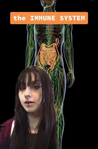 Choose your immune fighter 💪 #LearnwithChegg #Biology #BioTok #STEM