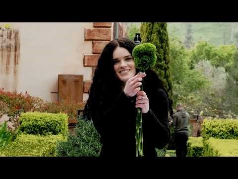 Chic Green Textures | Create a Vibrant Arrangement with Green Trick & Chrysanthemums