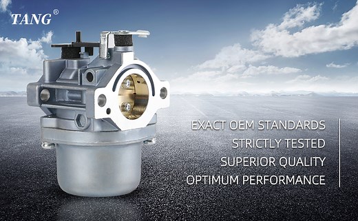 Watch LMT 5-4993 Carburetor for Briggs & Stratton Walbro 799728 on Amazon Live