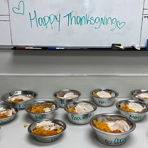 7K views · 688 reactions | Our kennel pups enjoyed a yummy homemade Thanksgiving feast thanks to our awesome volunteers Tara and Joe, who did all the cooking ... thank you both so much, you are THE BEST! ❤ And thank you Jasmine and Kevin for taking such great care of our dogs today! ❤ | Pet Rescue NY | Facebook