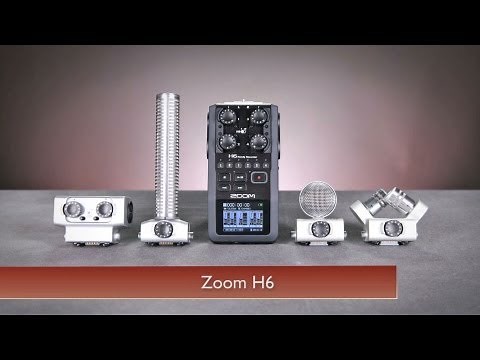 Zoom H6