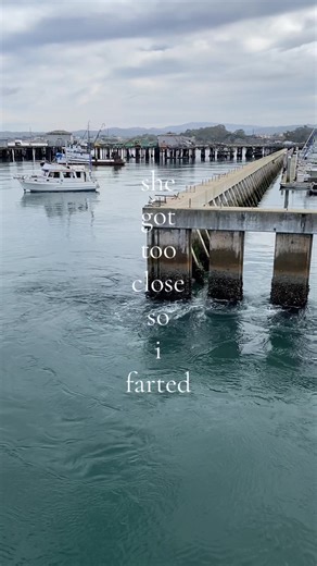 Most Inspirational Lyrics to Lift Your Spirits