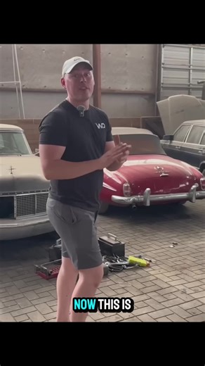 We Cleaned a 1960 Mercedes That Sat for 35 Years #wddetailing #automotive #clean #mercedes