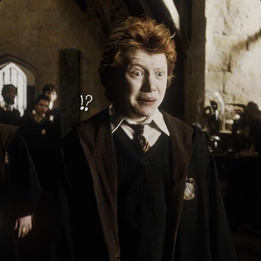 Ron Weasley Confronts Spiders!