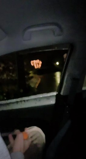 Klementin kamp ryggsekk