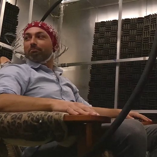 252K views · 3.4K reactions | Can Humans Detect Magnetic Fields? | Veritasium | Facebook