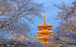 索尼A7M3 A7R3快速上手使用视频教程06：抛弃自动，原来白平衡还能这样用