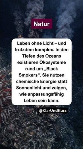 Leben in absoluter Dunkelheit. #natur