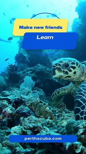 🌊💦 Dive into Adventure with Perth Scuba! 🐠🐬 Are you ready to explore the underwater world and unlock a lifetime of adventure? Perth Scuba is calling all ocean lovers and adventure seekers to join our Open Water Diver course! 🌟👌 Why learn to scuba dive with us? Here's why: - 🤿 Comprehensive Training: Our PADI-certified instructors are passionate about diving and dedicated to providing you with the skills, knowledge, and confidence to dive safely and enjoyably. - 🌐 Explore the Underwater W