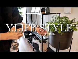 【インテリアグリーン】リビングに飾る観葉植物とプランターを買いに行った日