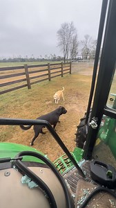 I have fed my last cow this year. They just got their last roll of hay. They will be on a bus to someone else’s farm by Christmas Eve. | Billy W. Merritt