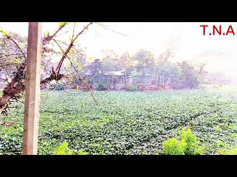 Bodsurot 28 | বদসুরত ২৮ (Full Natok) EagleTeam | Sarwar Kiron | Kotha Islam | Newনাটক 2026