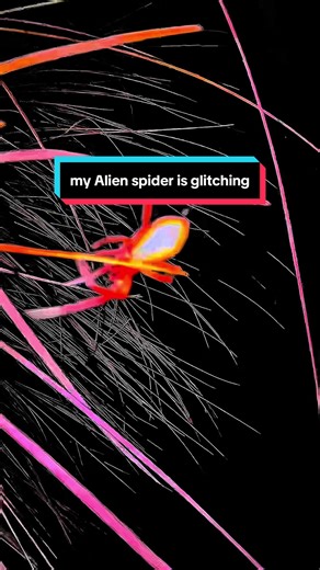 Watch these spiders closely. Make sure you count the number of legs. Again, the universe is here and so are the spiders thank you guys. It’s an honor to meet you. #spiders.#alien spiders#alien insects#new species of spiders #ufo