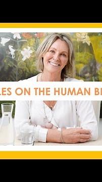 Vegetables on The Human Being Diet