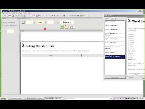 Introduction to Word Microscope