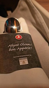 Is This the Best Airline Food? Turkish Business Class Atlanta flight ✈️ 🇹🇷 | Refugee 2 Living The Dream