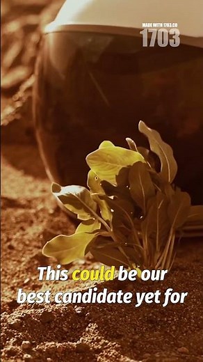 Cosmic Frontiers: Latest Discoveries in Space Exploration