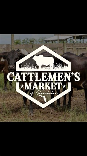 Happy Halloween 🎃 Cowboy Halloween looks a lot like this here at the Cattlemen’s Market of Okeechobee No goblins or ghosts here, just a bunch of cowboys and cowgirls making it happen 💪 The only spooky thing was how smooth these cattle ran 👻🎃💀 #cattlemensmarketofokeechobee #cattlemenstrong #ranchingcommunity #ranchlife #floridabeef #floridacowboys #halloweenfun | Cattlemen’s Market of Okeechobee