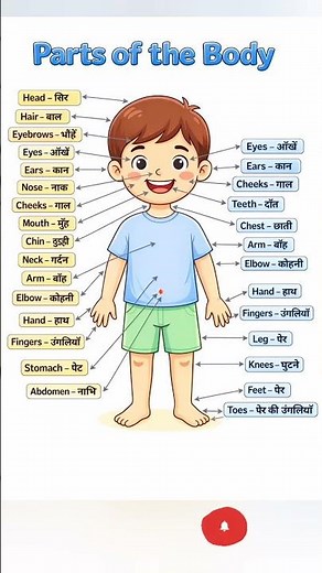 Body Parts Name in English and Hindi | Human Body Parts for Kids