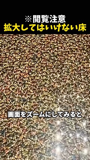 閲覧注意⚠️絶対にズームしてはいけない床