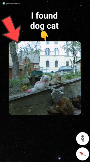 I found dog cat 🐕🐈‍⬛ the real on Google maps and google earth 🌎 #shots#earth location