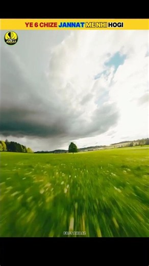 #gif
