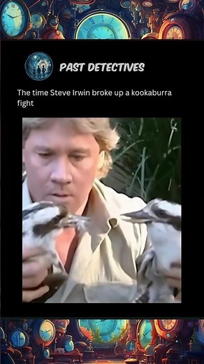 🐊 Steve Irwin Stops Bird FIGHT 🦜