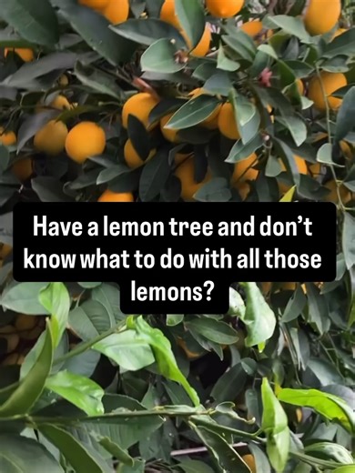 Reduce Food Waste: Share Your Extra Lemons
