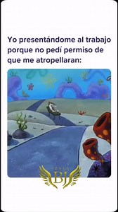 PIDE NUESTRO CATÁLOGO PARA MÁS INFORMACIÓN 📲❤️❤️#remember #dia #dogoftheday #diomedezdiaz #domingo#viraltiktok#diomedesdiaz ##pereira #moda #temu #atuendo #ropa #constitution #la #lacasadelosfamosos #despecho#humor #caliescali #ventas #medellin #españa #argentina #bogota #usa #panama #venezuela #republicadominicana #puertorico | Stilo BJ