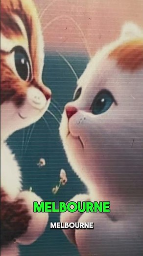 What is the capital city of Australia 🇦🇺 ~~~~~~~~?#education #learning #youtubeshorts