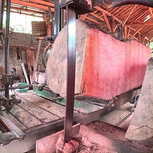 18M views · 166K reactions | what a dangerous process of this sawmill | Sawmill & Woodworking | Facebook