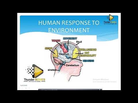 The Brain in 7 minutes grade 12 life sciences | ThunderEDUC | M.SAIDI |