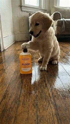 Hardwood Floor Cleaning Hacks for a Sparkling Shine