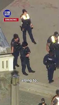 Hundreds of teens storm supermarket after beach brawl | 9 News Australia