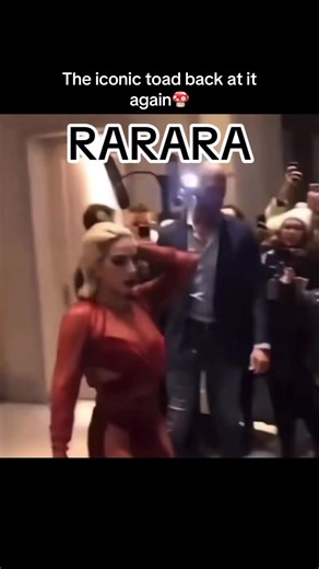 The Most Iconic Fan Moment for Lady Gaga