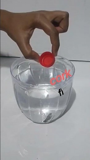 Why Cork Floats & Iron Sinks ? #density #buoyancy #experiment