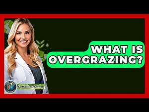 What Is Overgrazing? - Earth Science Answers