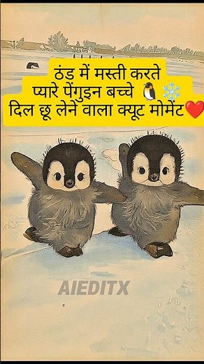 Cute Baby Penguins Playing in the Snow 🐧❄️ | Heart-Melting Adorable Moment ❤️ #cutestmoments