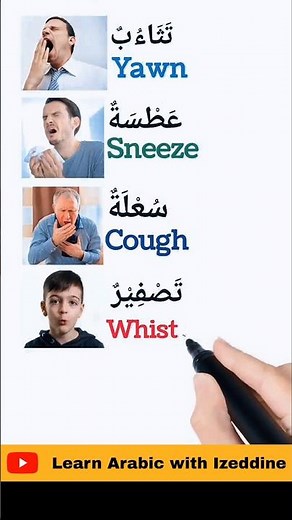ALL the Arabic Basics You Need - Improve your Arabic