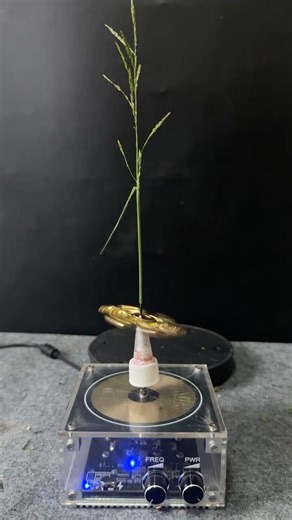 Tesla coil + spinner + plants
