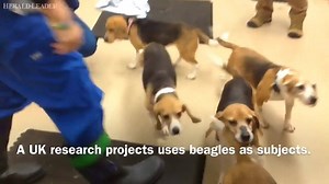 20K views · 984 reactions | Researchers at the University of Kentucky...