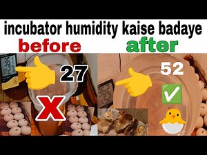 incubator humidity setting | how to increase humidity in incubator | incubator humidity | incubator