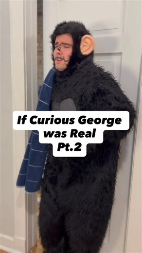 Bingus and the All Stars on Instagram: "Who else remembers Curious George? #curiousgeorge #parody #monkey #ape #skit #reels #comedy #funny"