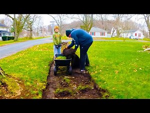 From overgrown to outstanding: Free sidewalk transformation for a neighbor