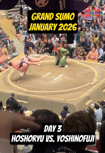Hoshoryu vs. Yoshinofuji: Sumo Showdown on Day 3