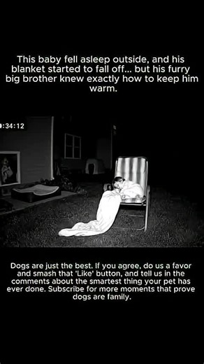 #NightVision #caughtoncamera #viral #viralvideo #fyp