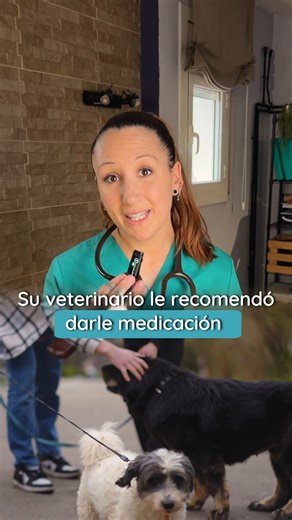 Educación canina y Veterinaria on Instagram: "¿Tu perro se descontrola en los paseos y te dijeron que es “ansiedad”? 🐕 Muchos perros no necesitan medicación, sino aprender a regularse. En esta mini clase te enseñamos a identificar el desborde y mejorar los paseos con descanso y olfateo. 👇🏻👇🏻 Comenta CLASE para verla y ayudar a tu perro desde hoy. #educacioncanina #perrosansiosos #comportamientocanino #paseosconscientes #olfateocanino"