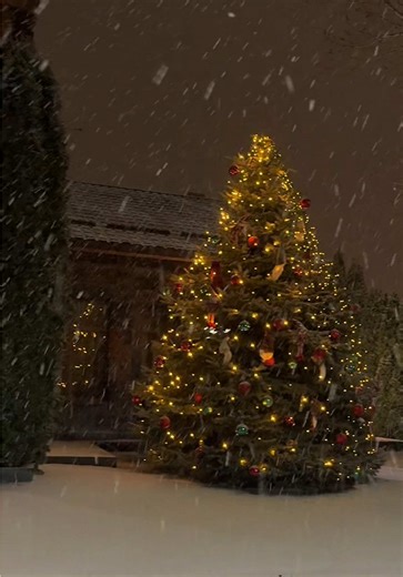 Ձմեռը Green Park-ում ունի իր հատուկ հմայքը ❄️ Ջերմ միջավայր, հանգիստ մթնոլորտ և պահեր, որոնք ստեղծված են լիարժեք հանգստի համար։ 📞 Ամրագրումների համար՝ 374 93 30 90 90 📍 Armenia, Kotayk Region, Arinj Village Marshal Babajanyan District, 3/1 Building #greenpark #hotel #hotelyerevan #vip #wintervibe